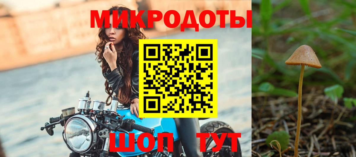 Псилоцибиновые грибы мухоморы  Псилоцибиновые грибы Psilocybine cubensis  Артёмовский  Вход с VPN 